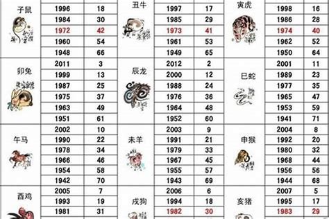 98年屬|1998年1月出生属什么生肖